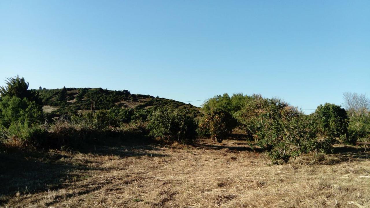 בית הארחה Garafía 	El Limonero מראה חיצוני תמונה